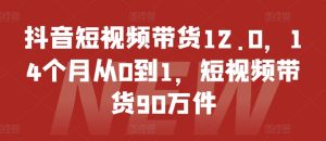 抖音短视频带货12.0，14个月从0到1，短视频带货90万件-项目资源库