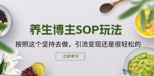 养生博主SOP玩法，按照这个坚持去做，引流变现还是很轻松的-项目资源库
