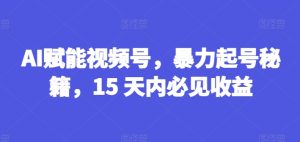 AI赋能视频号，暴力起号秘籍，15 天内必见收益【揭秘】-项目资源库