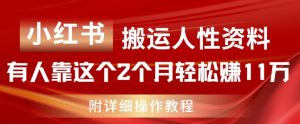 小红书搬运人性资料,有人靠这个2个月轻松赚11w,附教程【揭秘】-项目资源库