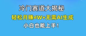冷门赛道大揭秘，轻松月赚1W+无需AI生成，小白也能上手【揭秘】-项目资源库