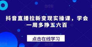 抖音直播拉新变现实操课,学会一周多挣五六百-项目资源库