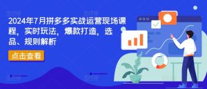 2024年7月拼多多实战运营现场课程,实时玩法,爆款打造,选品、规则解析-项目资源库