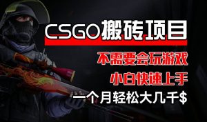 CSGO 装备搬砖项目,操作简单,不需要会玩游戏,小白也能快速上手,一个月轻松大几千【揭秘】-项目资源库