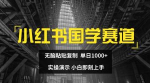 小红书国学赛道，无脑粘贴复制，单日1K，实操演示，小白即刻上手【揭秘】-项目资源库