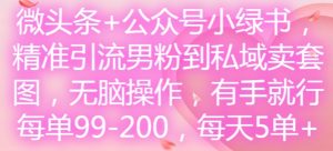 微头条+公众号小绿书,精准引流男粉到私域卖套图,无脑操作,有手就行,每单99-200,每天5单-项目资源库