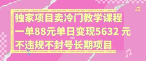 独家项目卖冷门教学课程一单88元单日变现5632元违规不封号长期项目【揭秘】-项目资源库