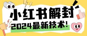 2024最新小红书账号封禁解封方法，无限释放手机号【揭秘】-项目资源库