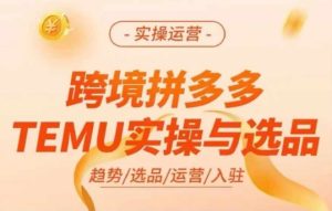 跨境拼多多TEMU实操与选品，多多temu跨境选品运营实操-项目资源库