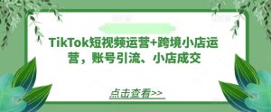 TikTok短视频运营+跨境小店运营，账号引流、小店成交-项目资源库