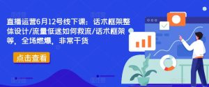 直播运营6月12号线下课:话术框架整体设计/流量低迷如何救流/话术框架等,全场燃爆,非常干货-项目资源库