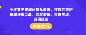 小红书IP变现运营私教课，打通红书IP变现任督二脉，底层逻辑、实操方法、战训结合-项目资源库