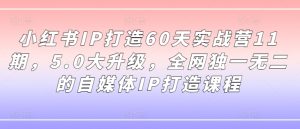 小红书IP打造60天实战营11期,5.0大升级,全网独一无二的自媒体IP打造课程-项目资源库
