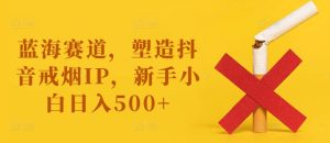 蓝海赛道,塑造抖音戒烟IP,新手小白日入500+【揭秘】-项目资源库