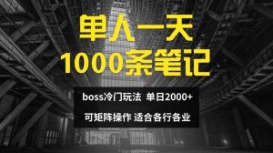 单人一天1000条笔记，日入2000+，BOSS直聘的正确玩法【揭秘】-项目资源库