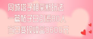 同城搭子相亲新玩法一篇帖子引流80人当日变现3600元(项目教程+实操教程)【揭秘】-项目资源库