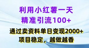 利用小红书一天精准引流100+,通过卖项目单日变现2k+,项目稳定,越做越香【揭秘】-项目资源库