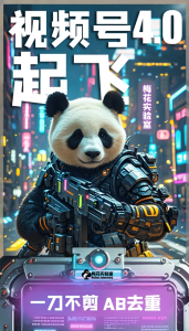 梅花实验窒微信视频号连怼玩法技巧起飞4.0一键AB破解版【揭秘】-项目资源库