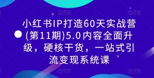 小红书IP打造60天实战营(第11期)5.0​内容全面升级，硬核干货，一站式引流变现系统课-项目资源库
