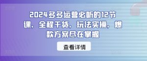 2024多多运营必听的12节课,全程干货,玩法实操,爆款方案尽在掌握-项目资源库