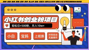 小红书创业粉项目日+500粉，每天20分钟躺赚长尾收益，无脑操作，宝妈，小白抓紧冲【揭秘】-项目资源库