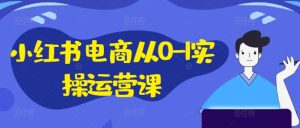 小红书电商从0-1实操运营课,小红书手机实操小红书/IP和私域课/小红书电商电脑实操板块等-项目资源库