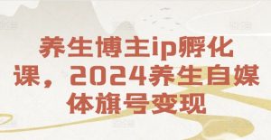 养生博主ip孵化课,2024养生自媒体旗号变现-项目资源库