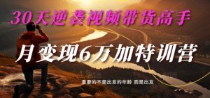 30天逆袭视频带货高手,单月变现6万加特训营-麦子甜-项目资源库