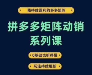 拼多多矩阵动销系列课，能持续盈利的多多矩阵，0基础也听得懂，玩法持续更新-项目资源库