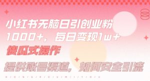 小红书无脑每日引流创业粉500+，小白每天只花半小时，躺赚长尾收益【揭秘】-项目资源库