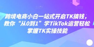 跨境电商小白一站式开启TK搞钱,教你“从0到1”学TikTok运营轻松掌握TK实操技能-项目资源库