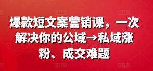 爆款短文案营销课,一次解决你的公域→私域涨粉、成交难题-项目资源库