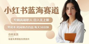 小红书蓝海赛道,圈中高端职场人,月入无上限,可矩阵,内含私域实操教程!-项目资源库