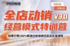 全店动销经营模式特训营,指哪打哪100%精准拉新保姆式起店实操课程-项目资源库