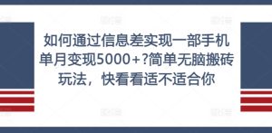 如何通过信息差实现一部手机单月变现5000+?简单无脑搬砖玩法,快看看适不适合你【揭秘】-项目资源库