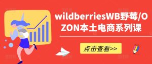 wildberriesWB野莓/OZON本土电商系列课,掌握WB产品优化,出单技巧和订单处理等-项目资源库