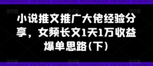 小说推文推广大佬经验分享,女频长文1天1万收益爆单思路(下)-项目资源库