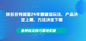 拼多多特训营24年爆破流玩法,产品决定上限,方法决定下限,各种玩法技巧落地实操-项目资源库
