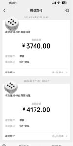 手机搬砖项目,可以矩阵化操作,新手一个月轻松5000多-项目资源库