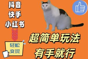 超简单玩法,有手就行,靠猫咪视频日入500+【揭秘】-项目资源库