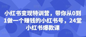 小红书变现特训营，带你从0到1做一个赚钱的小红书号，24堂小红书爆款课-项目资源库
