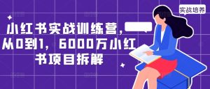 小红书实战训练营,从0到1,6000万小红书项目拆解-项目资源库
