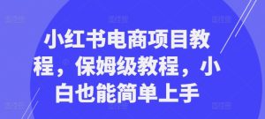 小红书电商项目教程,保姆级教程,小白也能简单上手-项目资源库