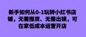 新手如何从0-1玩转小红书店铺,无需囤货、无需出镜,可在家低成本运营开店-项目资源库