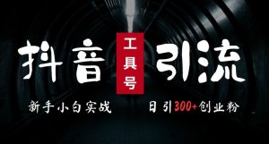 2024最新抖音工具号引流玩法,高效日引300+创业粉,当天变现5k,小白也可成为实战高手-项目资源库