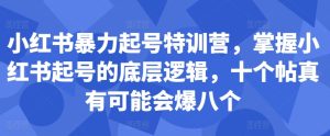 小红书暴力起号特训营，掌握小红书起号的底层逻辑，十个帖真有可能会爆八个-项目资源库