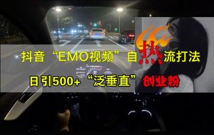 抖音EMO视频自热打法,日引500+“泛垂直”创业粉-项目资源库