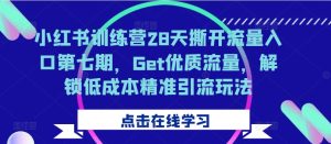 小红书训练营28天撕开流量入口第七期,Get优质流量,解锁低成本精准引流玩法-项目资源库