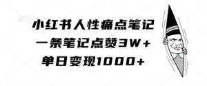 小红书人性痛点笔记，一条笔记点赞3W+，单日变现1k-项目资源库