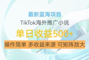 最新蓝海项目，利用tiktok海外推广小说赚钱佣金，简单易学，日入500+，可矩阵放大【揭秘】-项目资源库